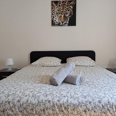 Le Mirage - Appartement 2 Chambres, Salon, Cuisine Equipee, Parking Et Wifi Gratuit มูลูส ภายนอก รูปภาพ